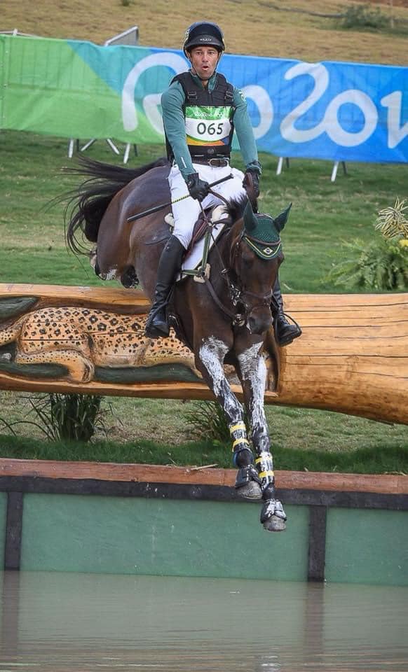 Brazilian Sport Horse